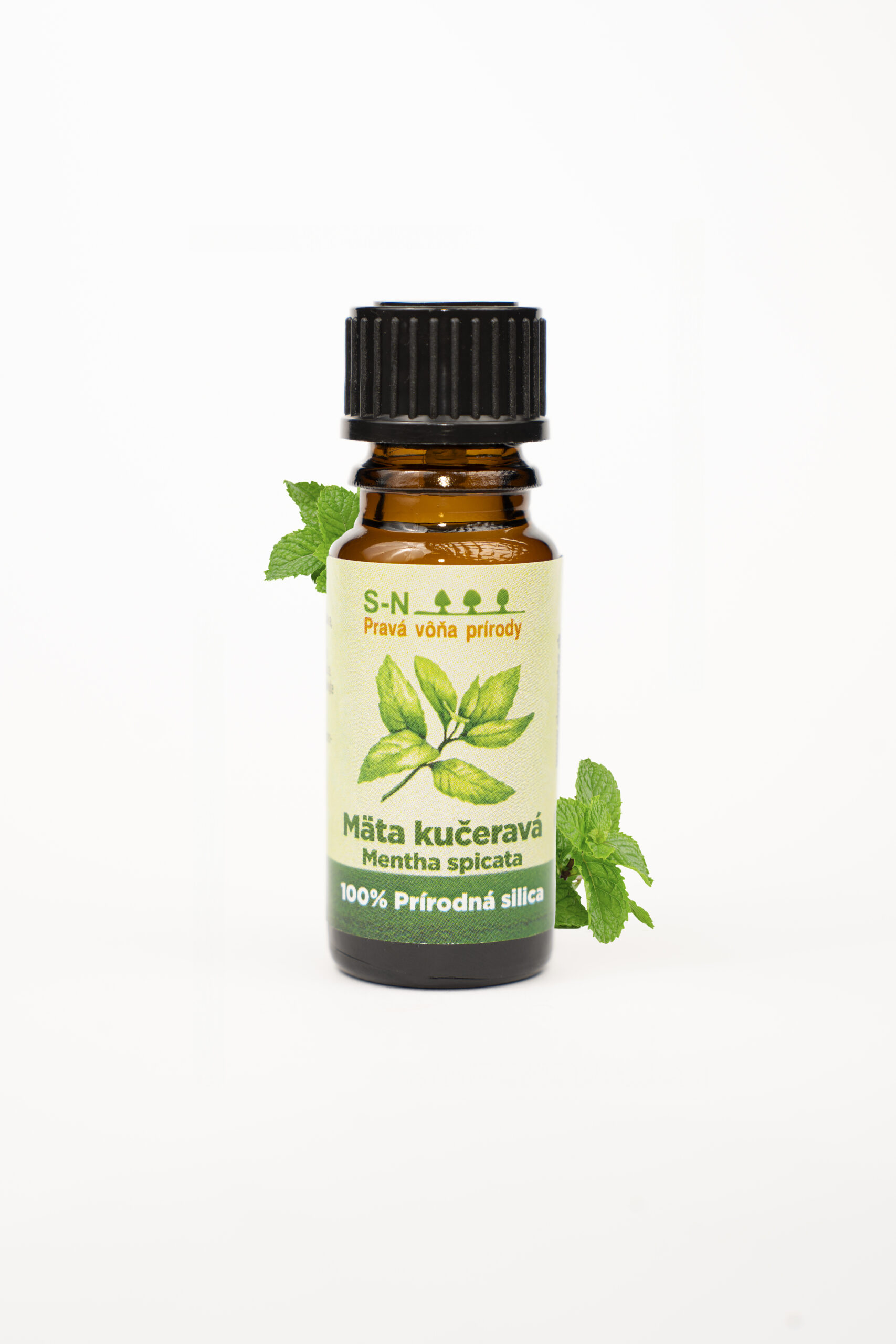 Vonný olej Mäta kučeravá – Mentha spicata